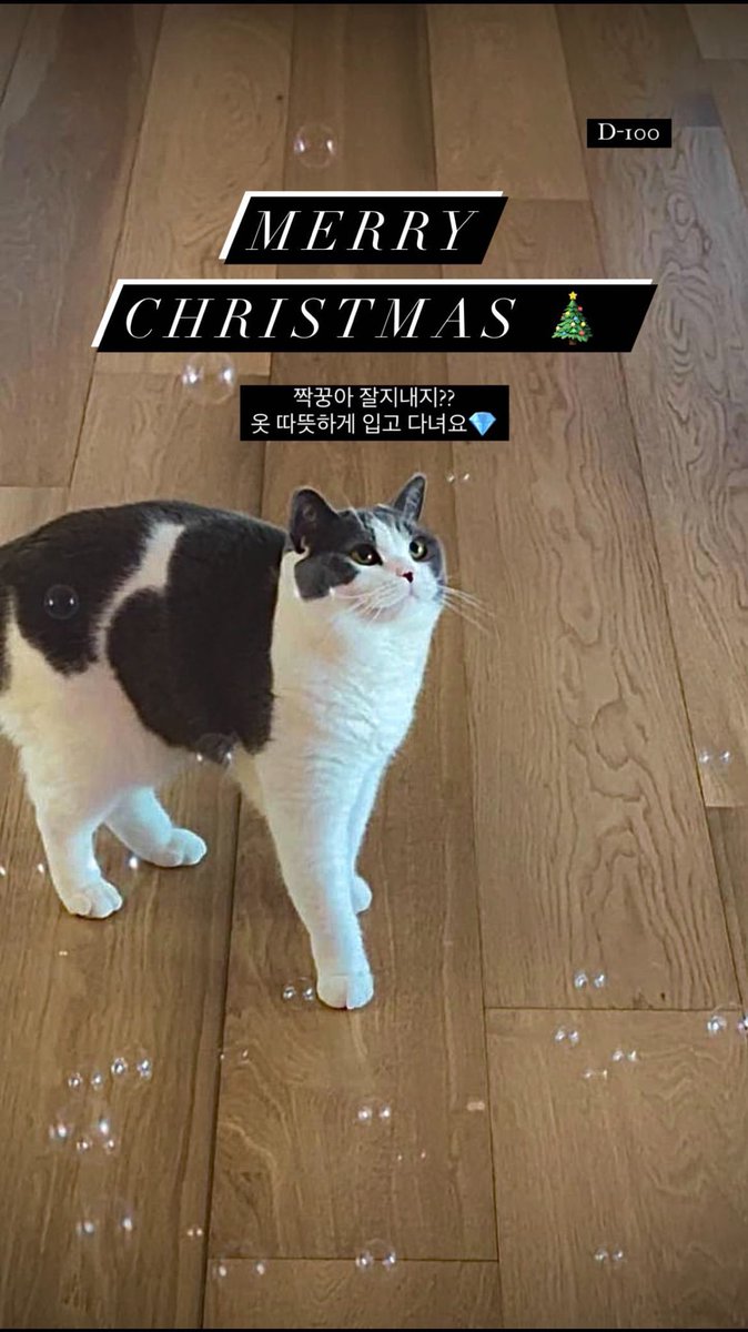 lm_____kkoong's tweet photo. 221225

😭🎄💎 https://t.co/qjz8gjxCqy