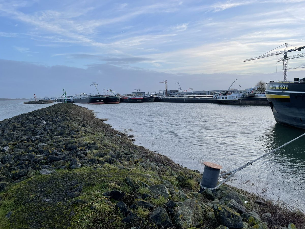 lou goedel tweet media