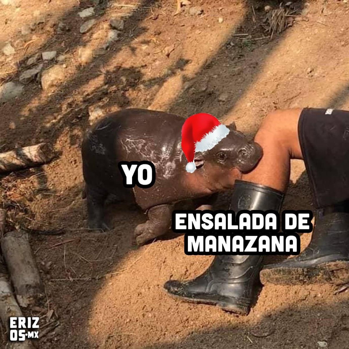 MerGarza's tweet photo. Mis planes para esta noche. ❄️ https://t.co/vOJYTkfkcJ