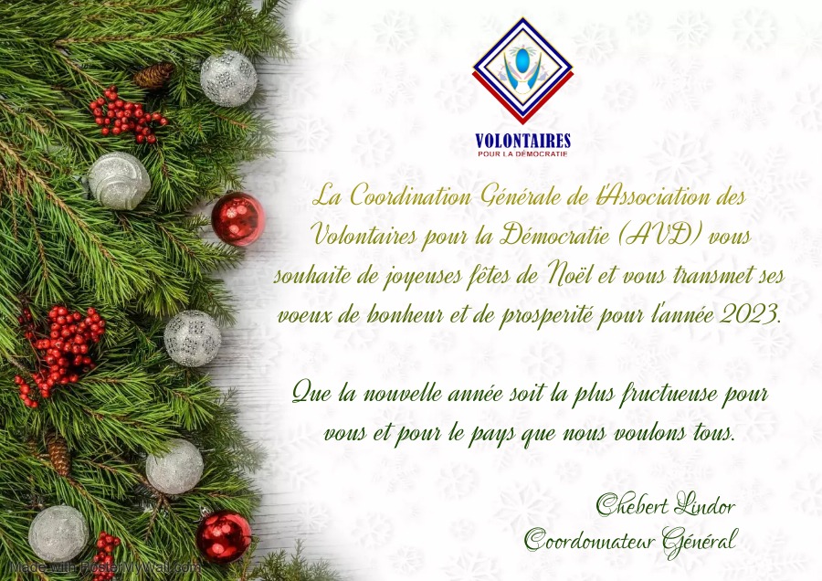 AVD vous souhaite de joyeuses fêtes de Noël