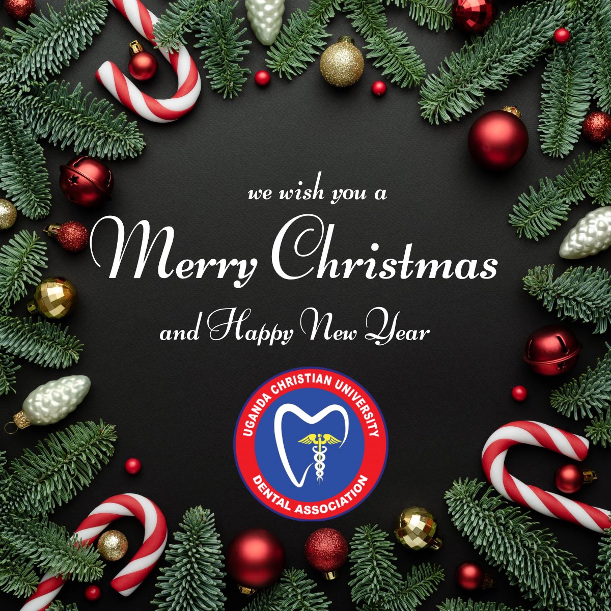 ucudsa_'s tweet photo. Wishing you a Merry Christmas and a great year ahead!  
#ucuda https://t.co/RJPyQhE0J2