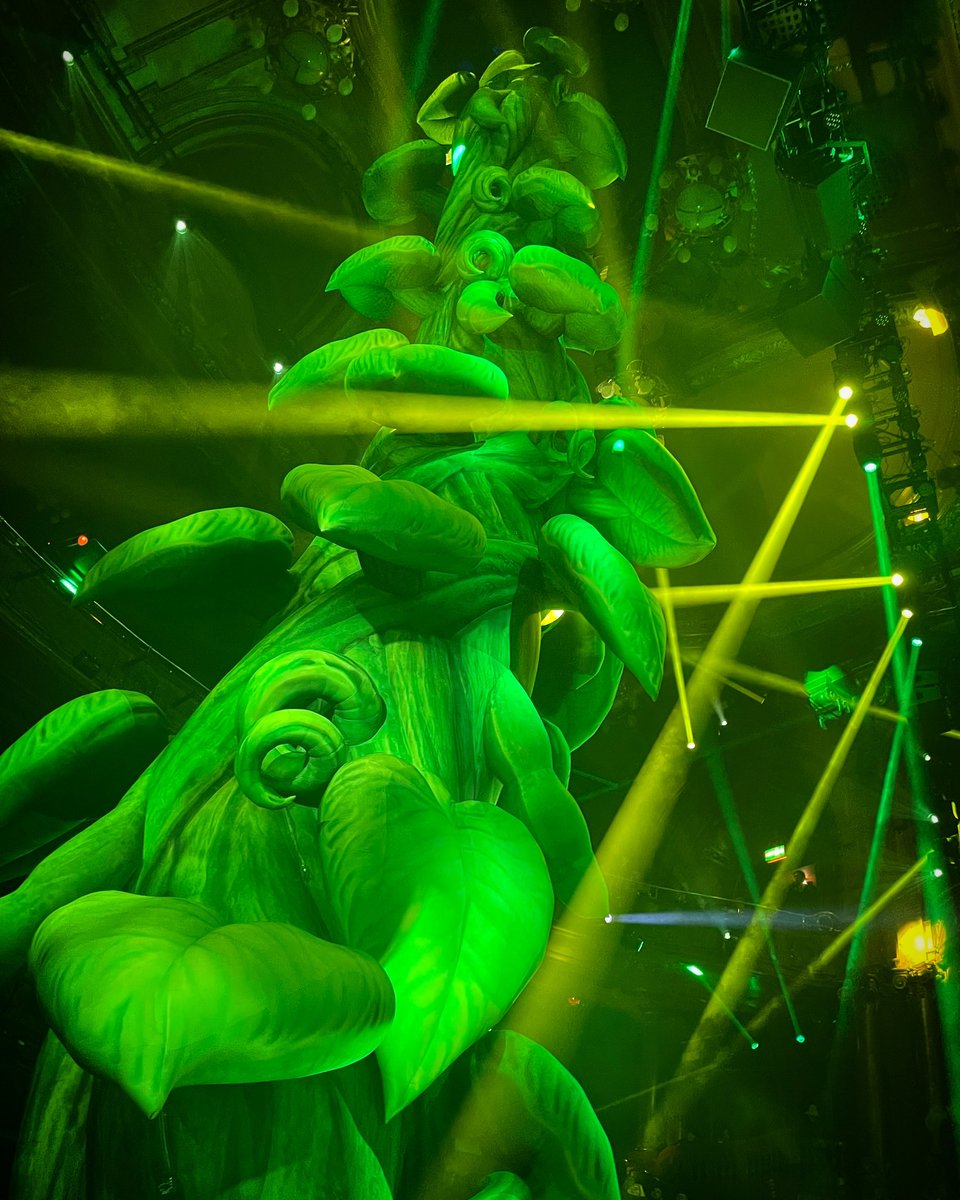 YesRobb's tweet image. Christmas Eve tradition, @PalladiumPanto with my father and this year it’s Jack &amp;amp; the Beanstalk 🌱🎭🎄⛄️ #panto #palladiumpanto