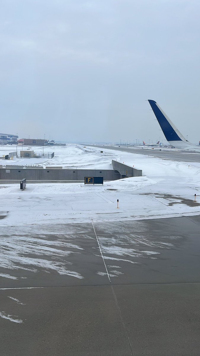This #FloridaGirl’s first look at snow: