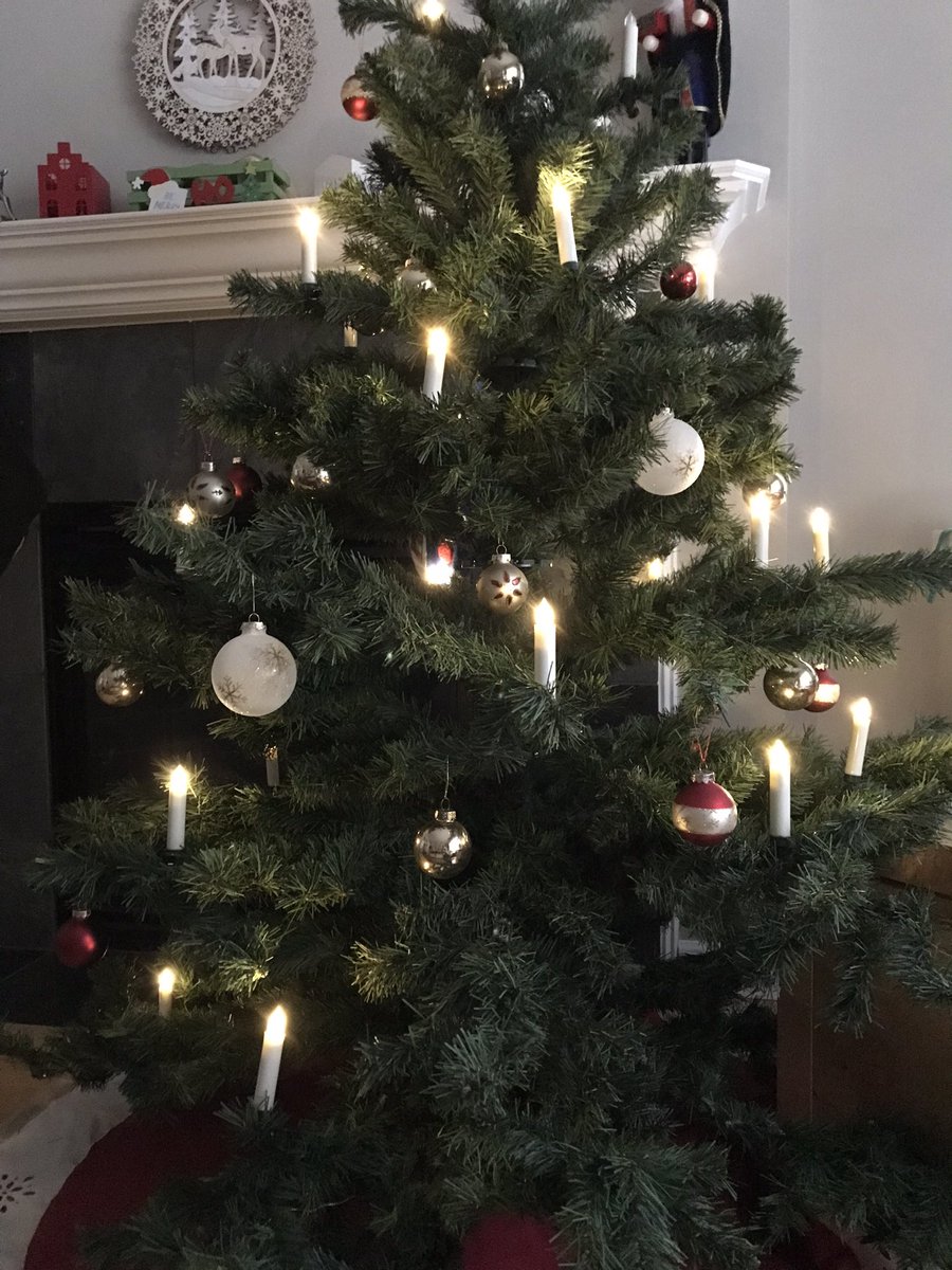 luizmarq's tweet photo. @awoods We’ve been using the same artificial tree that looks like a real one for more than 25 years. One day it’s going to the landfill but I think the environmental impact over the lifecycle will be the smallest I can create. https://t.co/3fNHHAno3P