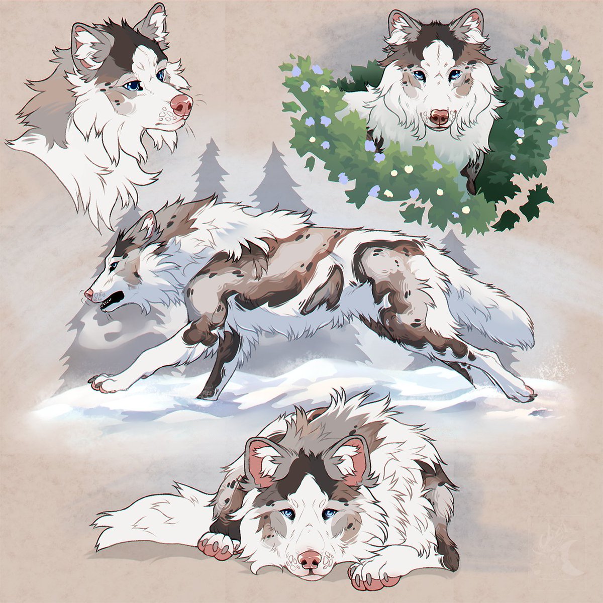 AlunaBear's tweet photo. Sketch page for Aldarrok on dA https://t.co/JtqbcO1BbV