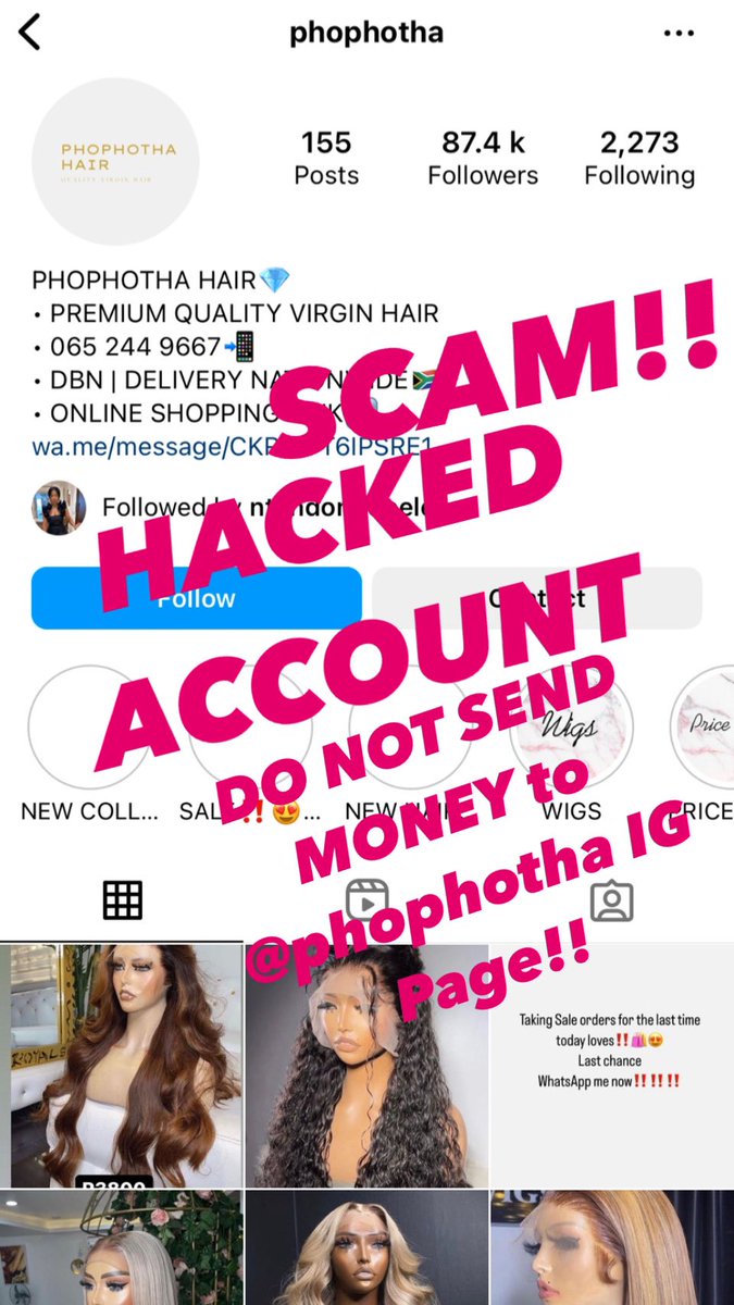 Phophotha tweet media