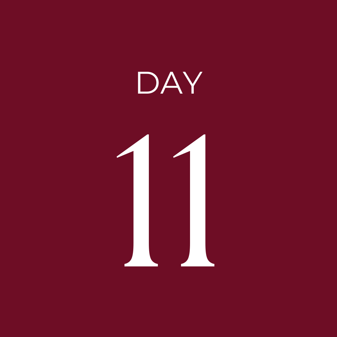 CathayHomeInc's tweet photo. Happy Christmas Eve! It's Day 11 of our 12 Days of Giveaways, only one more day to go! Enter to win our Cotton Moselle Duvet Cover Set, click here: https://t.co/l2CyhrivhH https://t.co/aOP1M8kf6v