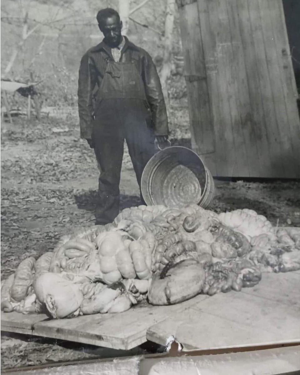 CharltonTW_'s tweet image. Me tomorrow ❤️ #Chitterlings