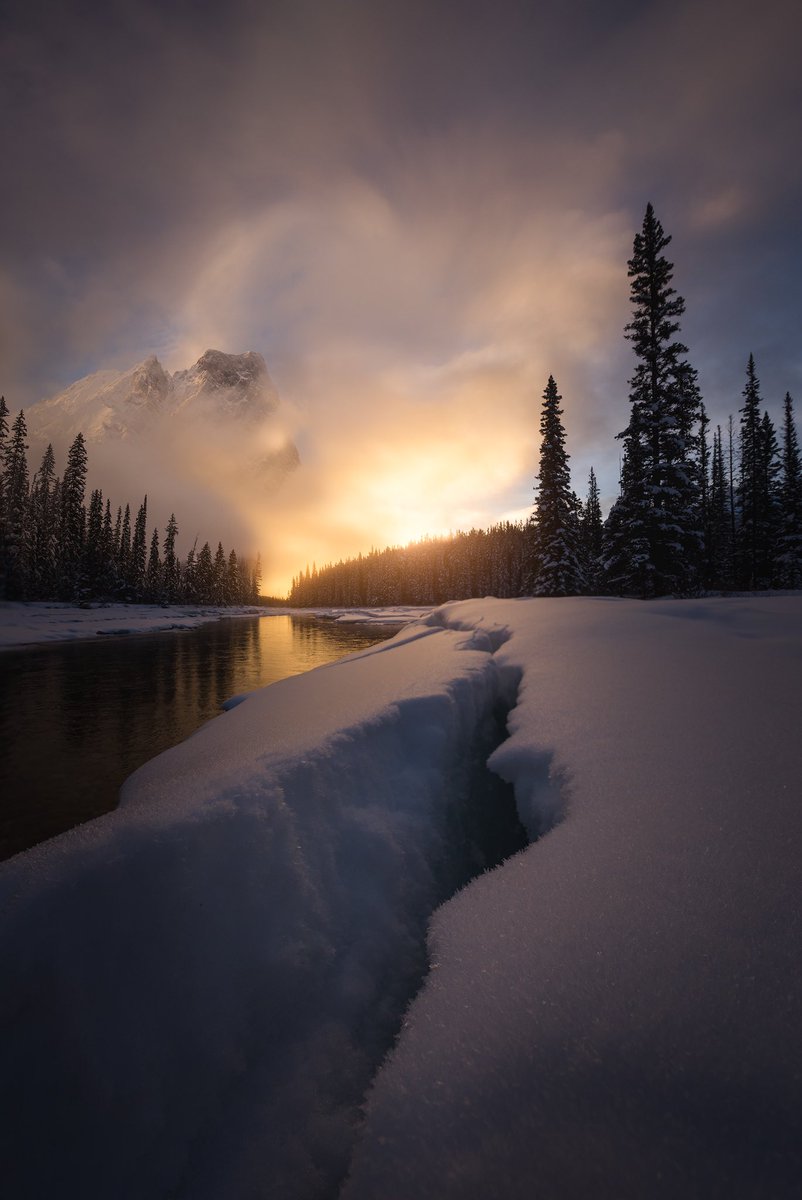 Gm, Merry Christmas everyone 🎄