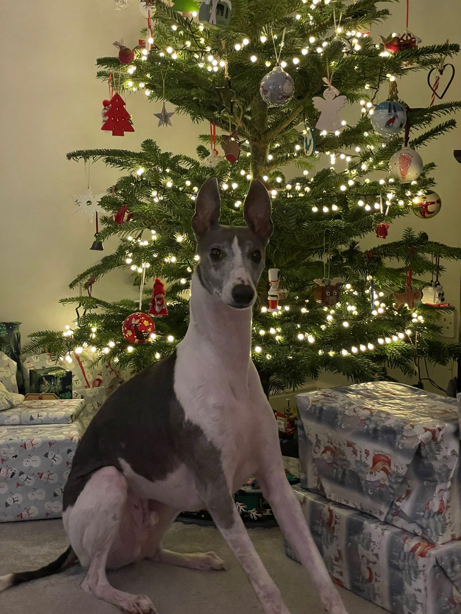 Merry Christmas to you all 🎄