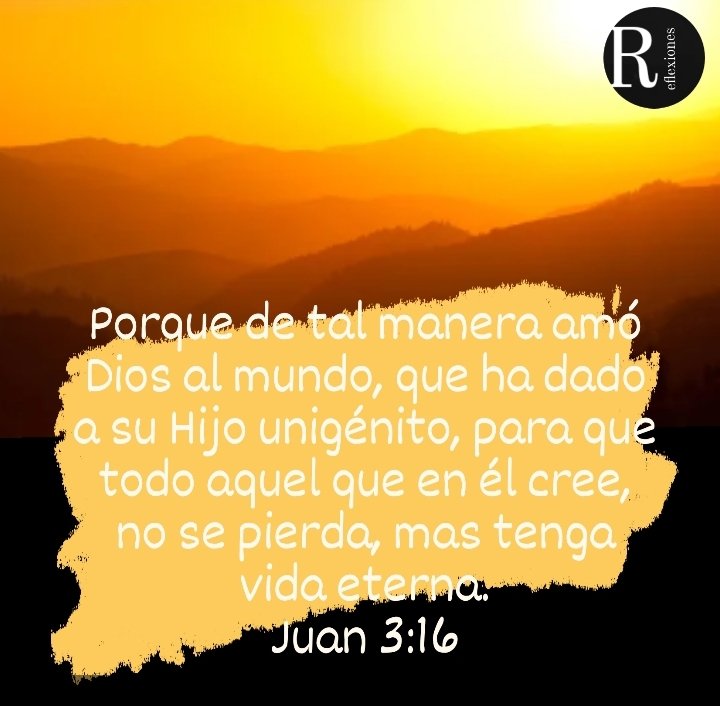 Reflexiones (@reflexiones5962) on Twitter photo 