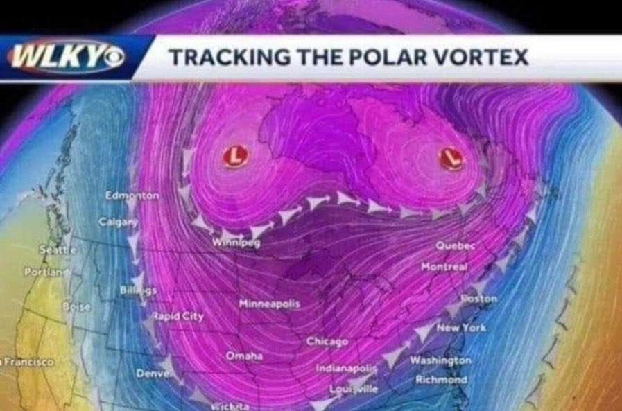 MilkersToken's tweet photo. Polar what???
#bnb #defi #headlights https://t.co/uXTnyqOEo0