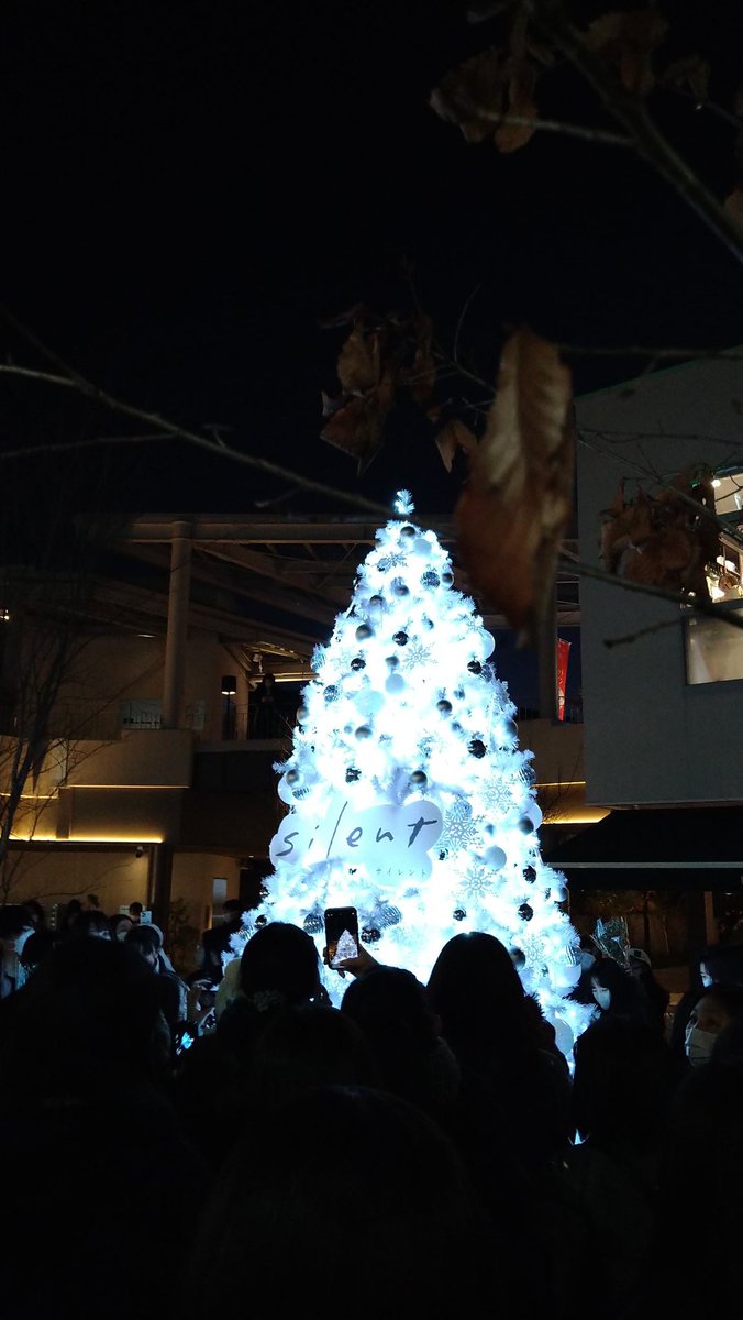 b_ism's tweet image. とても素敵なクリスマスイブになりました！
ライブを堪能するだけでなく嬉しいプレゼントまで(ﾟдﾟ)
これからも聴き続けます🥰
#ポップしなないで
#MARUNOMI 
#treeboy