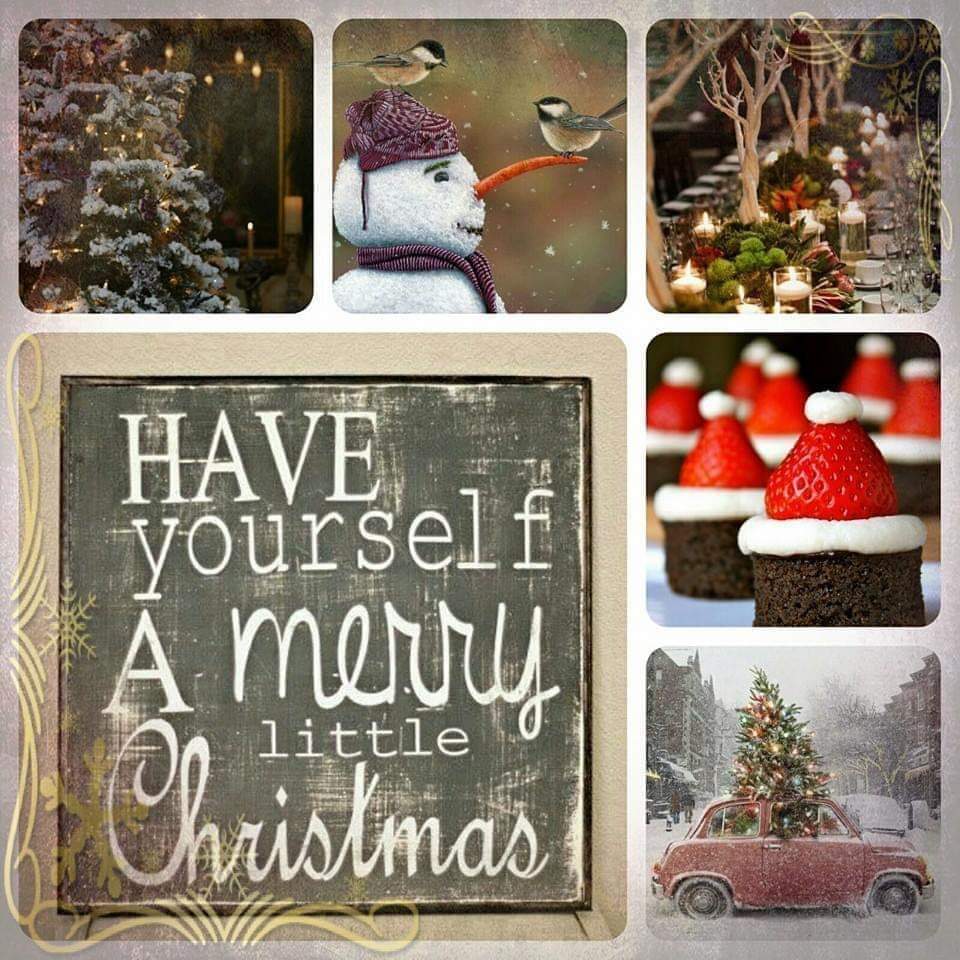 almthys's tweet photo. Wishing Everyone a Wonderful Christmas! May all your encounters these days be loving ones and leave you feeling cherished. Warm Greetings to All of You and Your Loved Ones. 🎄🌟🎄 https://t.co/7SoSTIyhHn