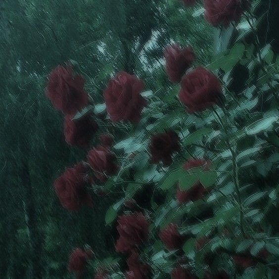 enjeru_exe's tweet photo. [ #bsd #bsdtwt #Бремкрафты ]
Небольшая зарисовка по Бремкрафтам.
Приятного чтения!💚 https://t.co/pfk883XaOM