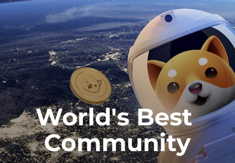 #BabyDoge has the be best community among all the coins