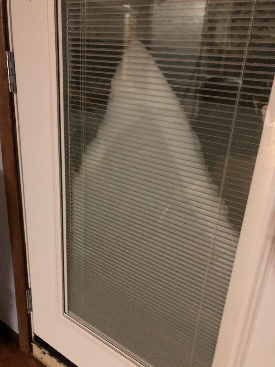 Living room from last evening, this is much worse too rn. Snowstorms are scary! I love snow and I absolutely wanted a white Christmas, but that’s enough white for now, Mother Nature! 🥶