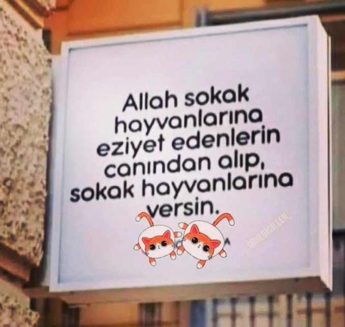 EMRKRC17's tweet photo. Allah sokak hayvanlarına eziyet edenlerin canından alıp, sokak hayvanlarına versin. #sokakkedisi #onlardacan #HayvanaSiddetSuctur https://t.co/VEVUwcYr29