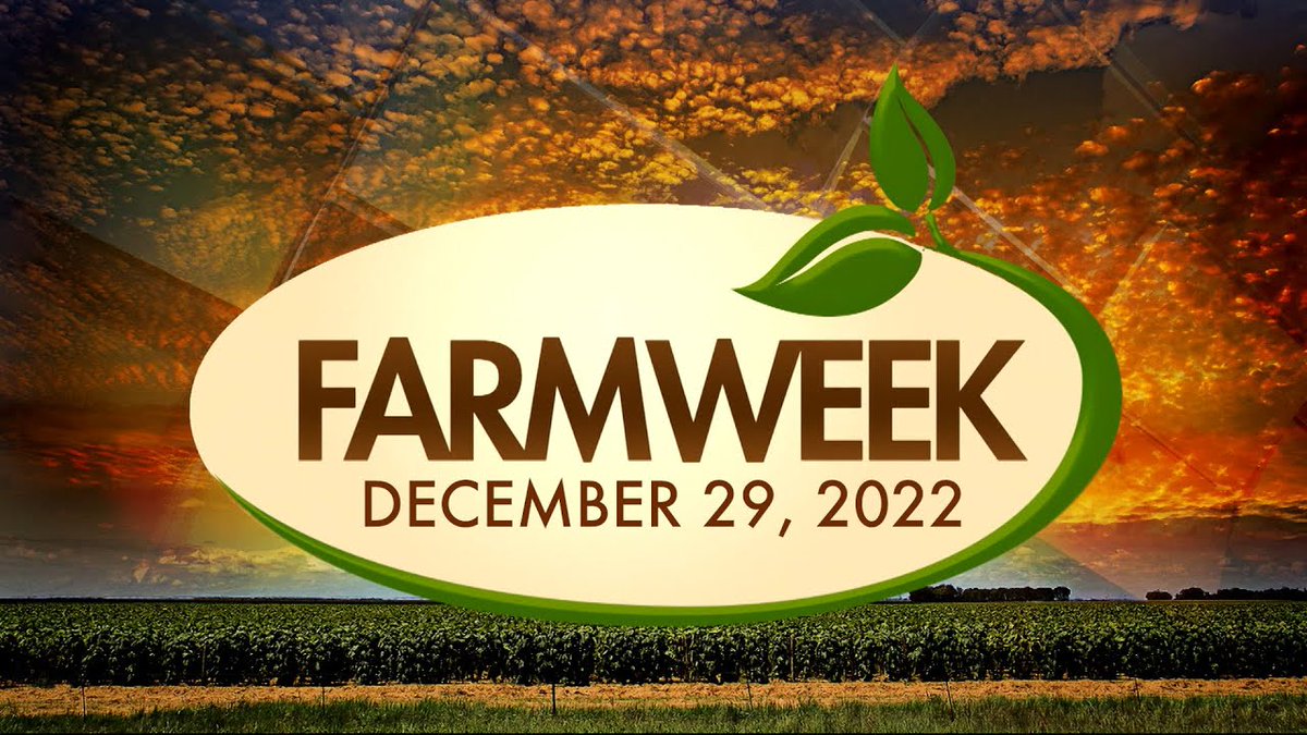 AllForGardening's tweet image. Farmweek | December 29, 2022 | Full Show
 
#ExtensionService #GardenSupplies #GardenSupply #GardenersSupplies
 
allforgardening.com/365317/farmwee…