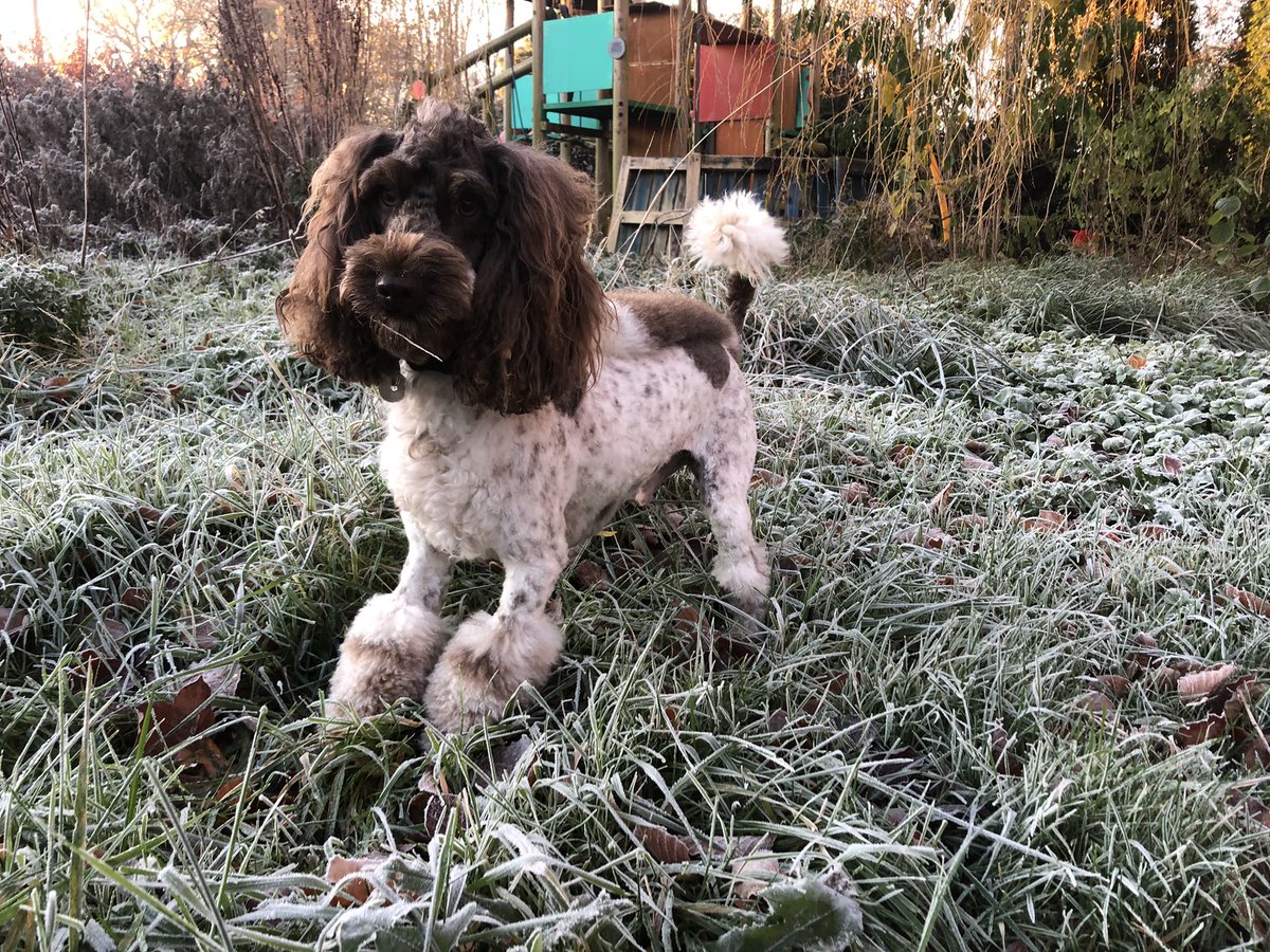 ❤️ Have a lovely festive break everybody. Do it YOUR way! 🤍 #AniAdventures