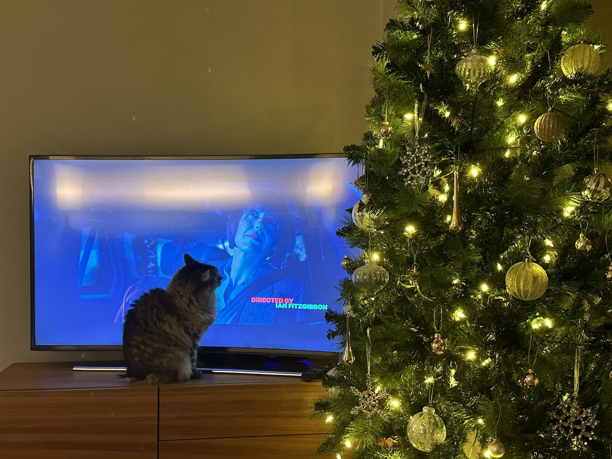 MrRobTaylor's tweet image. Watching a Christmas movie with, ahhem, through, the cat