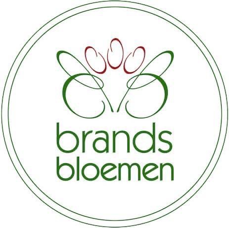Brands Bloemen tweet media