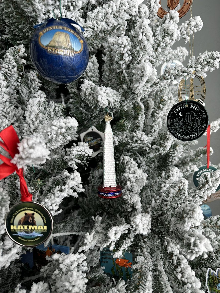 Lincoln Graves on Twitter "My dad’s Christmas tree. He does a