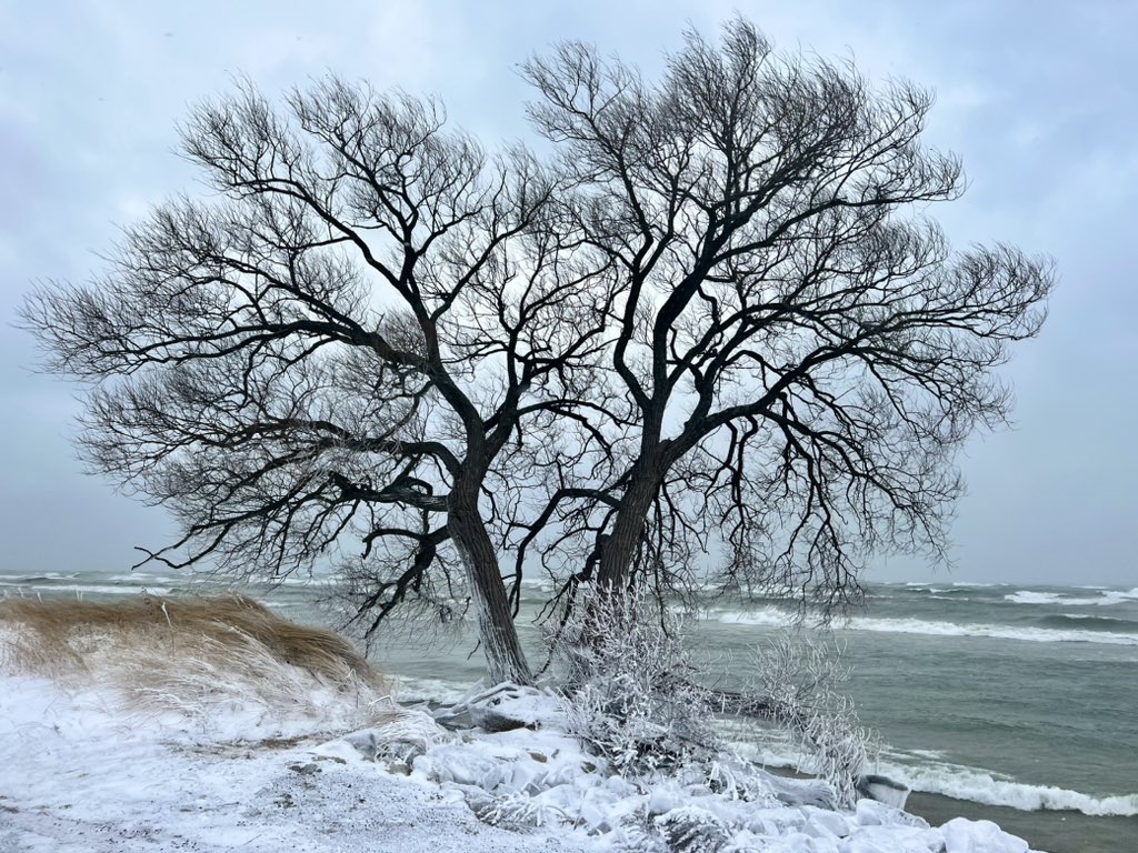 White Lake Area Chamber & Visitors Bureau tweet media