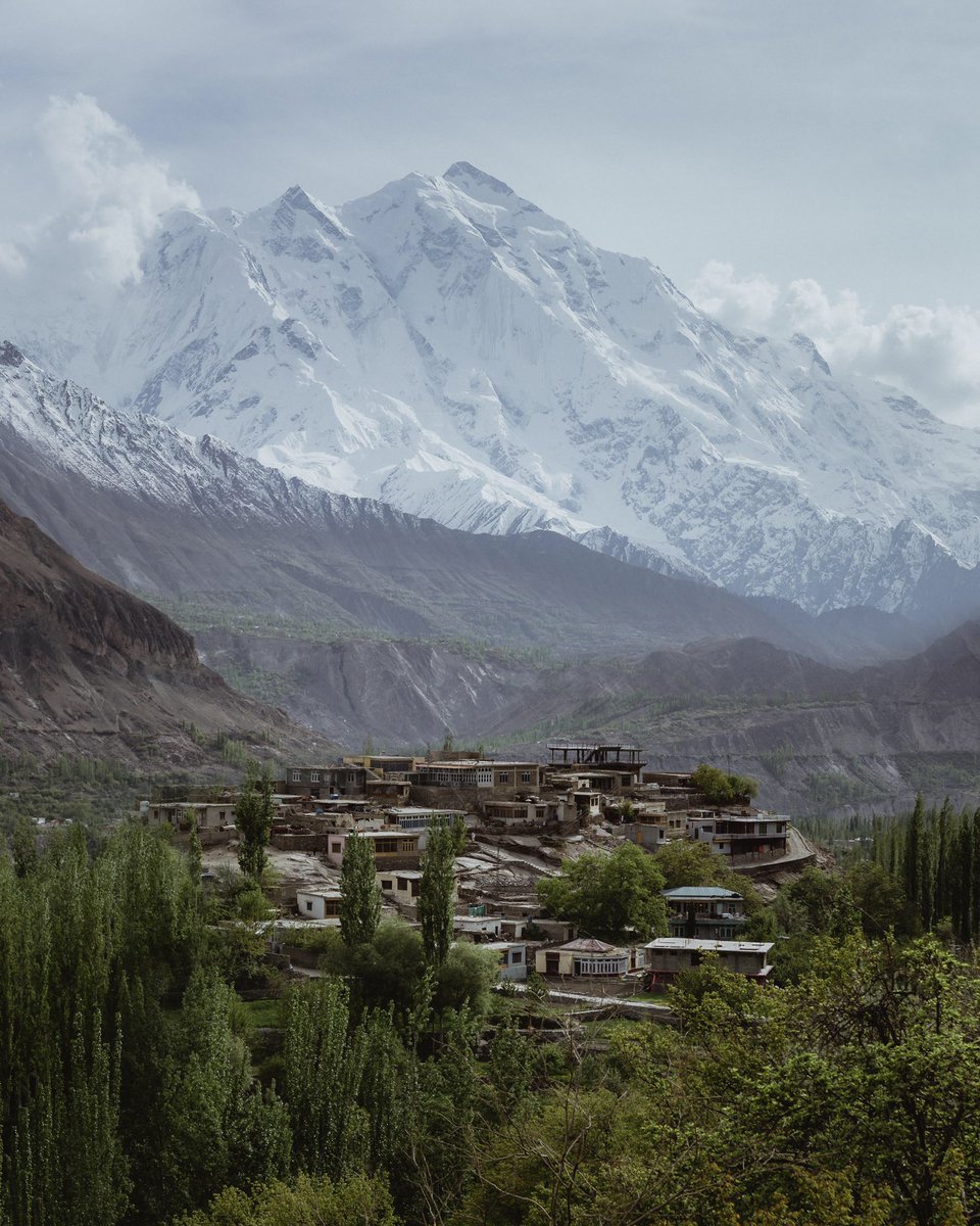 Munib Jan 🦉| “4 Seasons” Editions Live 10/10 tweet media