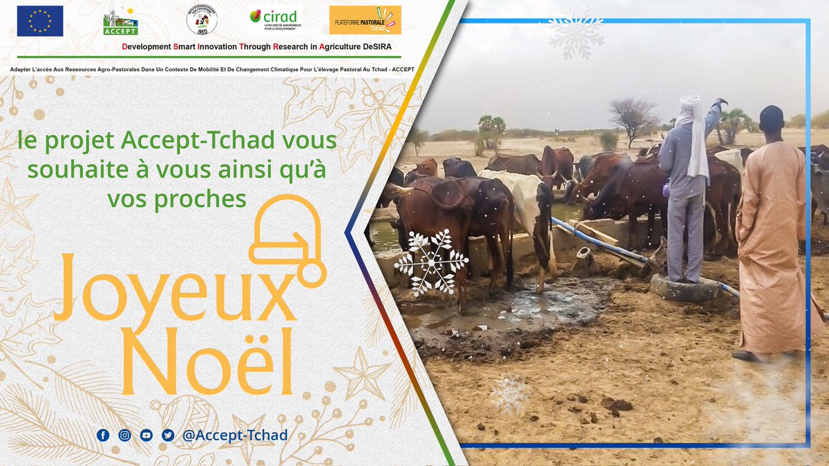 Joyeux Noël 🎅 🎅 🎅 🎅