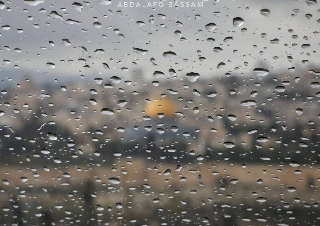 هَلْ تَشتَاقُ المَواسِمُ إليهَا بِقَدر اشتِيَاقِنَا ! 
هَلْ يَهطِلُ المَطرُ شَوقًا ! 
أمْ أنَّه يَهطِلُ رَاغِبًا بِرَائِحتهَا وبَركتها ! 
وتَظَلُّ المَوَاسِم فِي سَاحَاتِه تَختَلِفْ 🤍.
#رباطك_يحميه