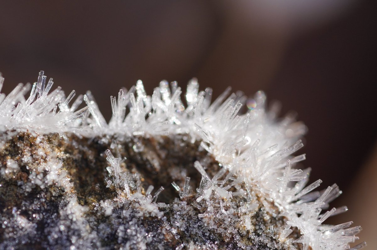 Ed Colmar (@edcolmar) on Twitter photo 