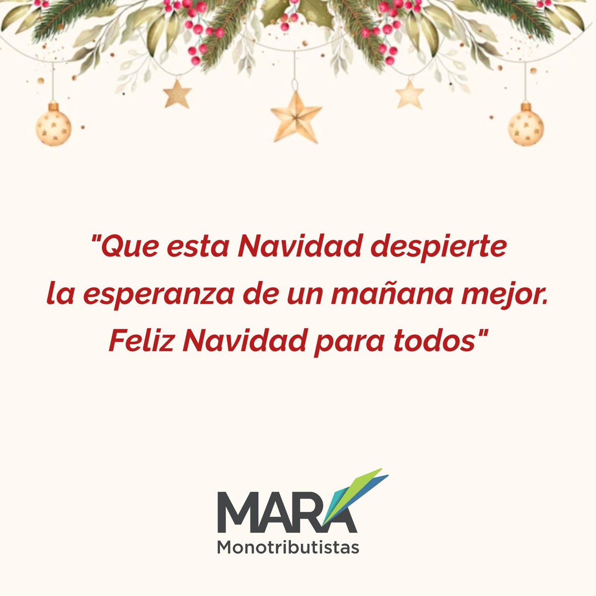 MARAMonotributo's tweet photo. A nuestros asociados y amigos, les deseamos pasen una hermosa Nochebuena rodeados de sus afectos más queridos.
.
#Monotributistas #MonotAsocRepArg #MARAmonotributo https://t.co/nshv6rY0k9