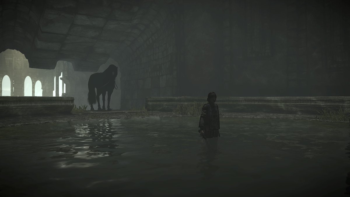 amethystiox's tweet image. #PS5Share, #SHADOWOFTHECOLOSSUS