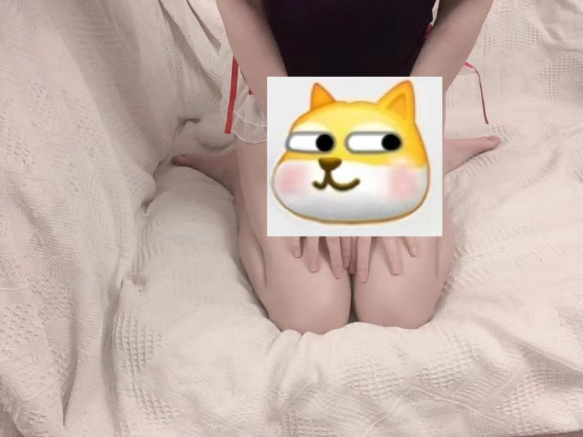 古月 tweet media