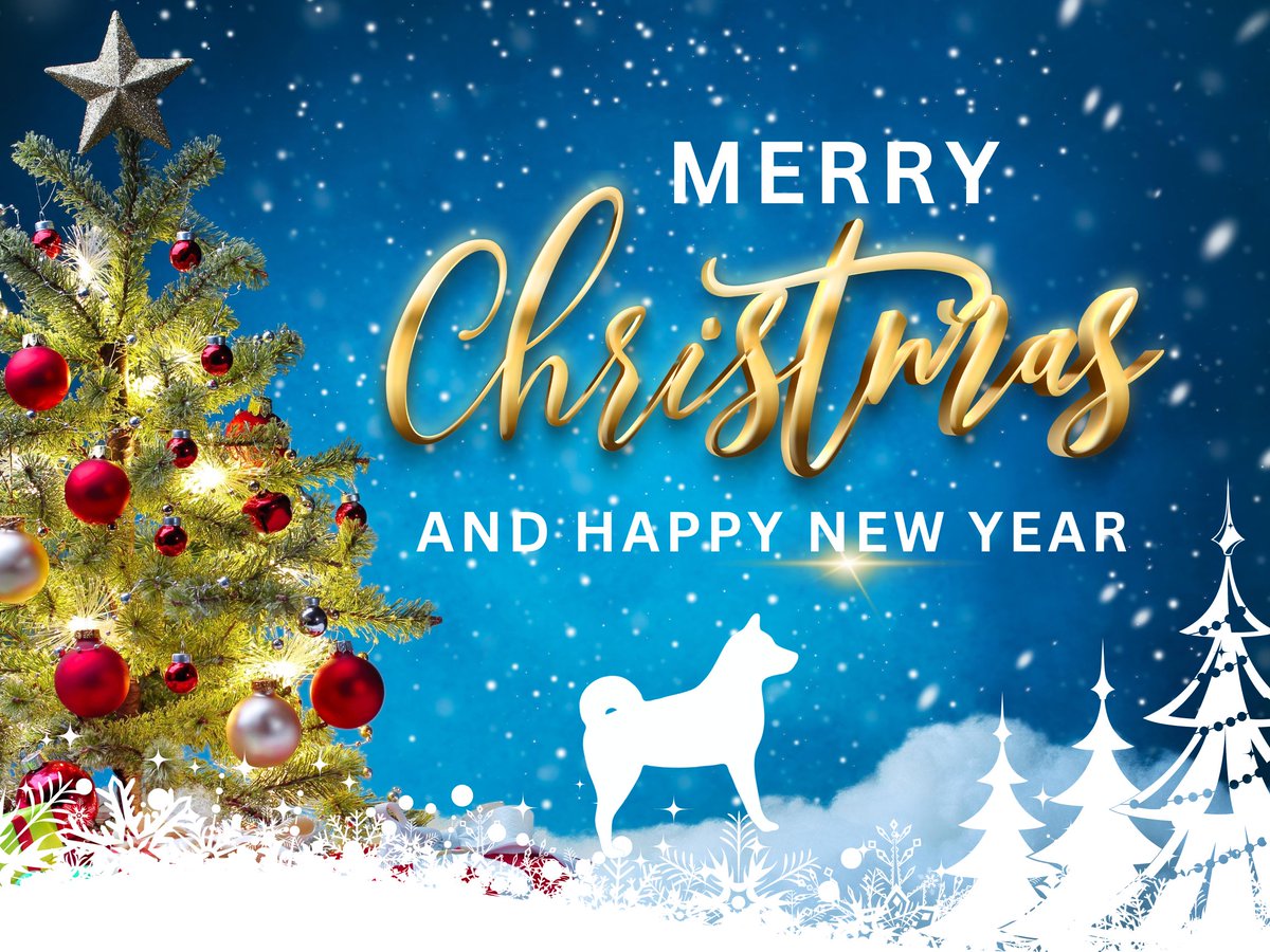 DOGGER - THE HOME OF CRYPTO tweet media