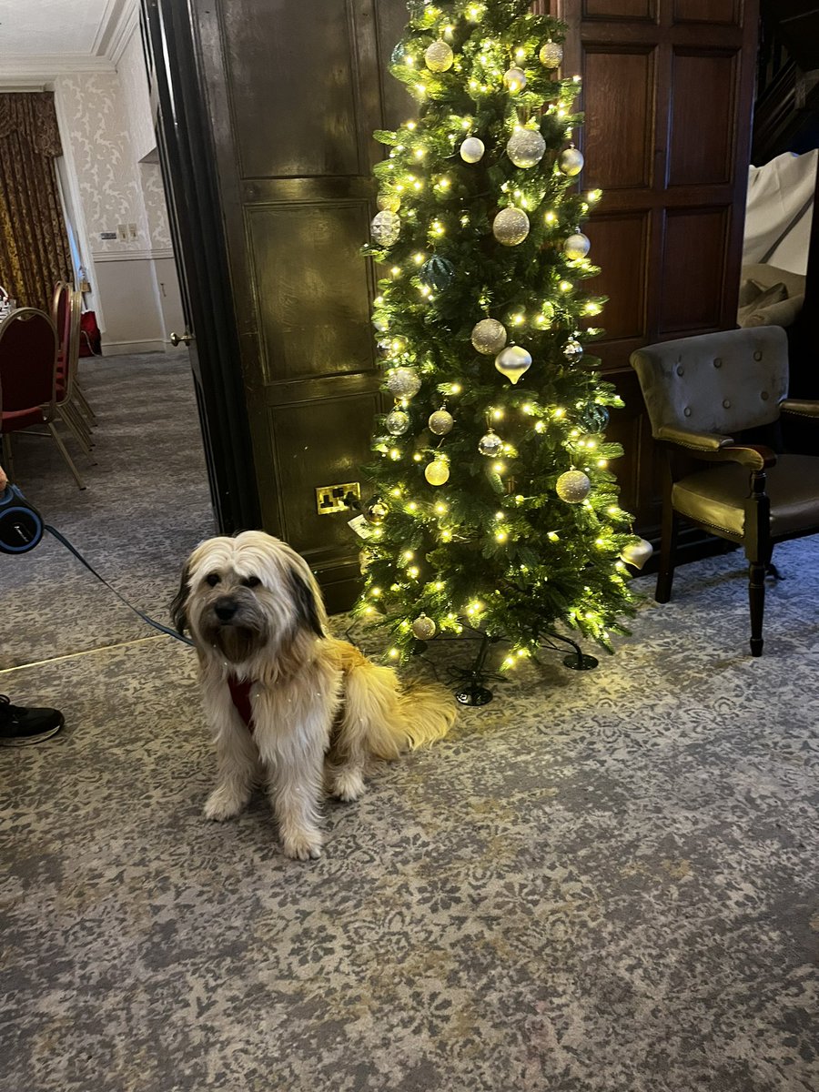 Merry Christmas to all my twittery friends x