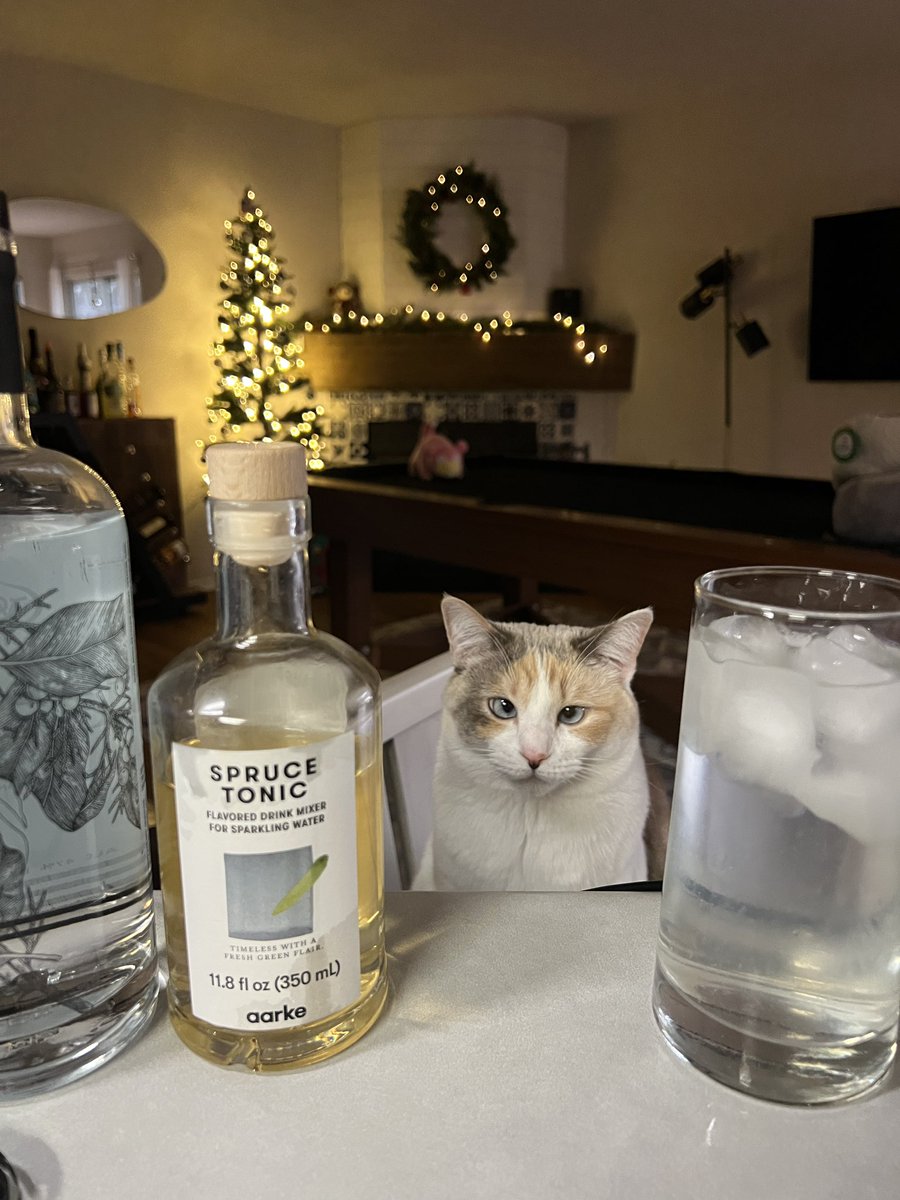 Panko A. Cat’s Mom tweet media