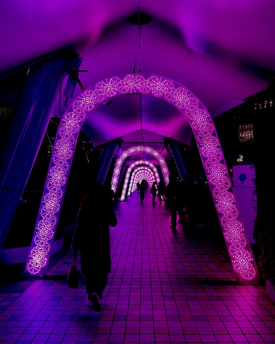IOJjapantravel's tweet photo. One day to go🎄
#christmaslights #japanlights #japanchristmas  #insideoutjapan https://t.co/tsfR12PJmm