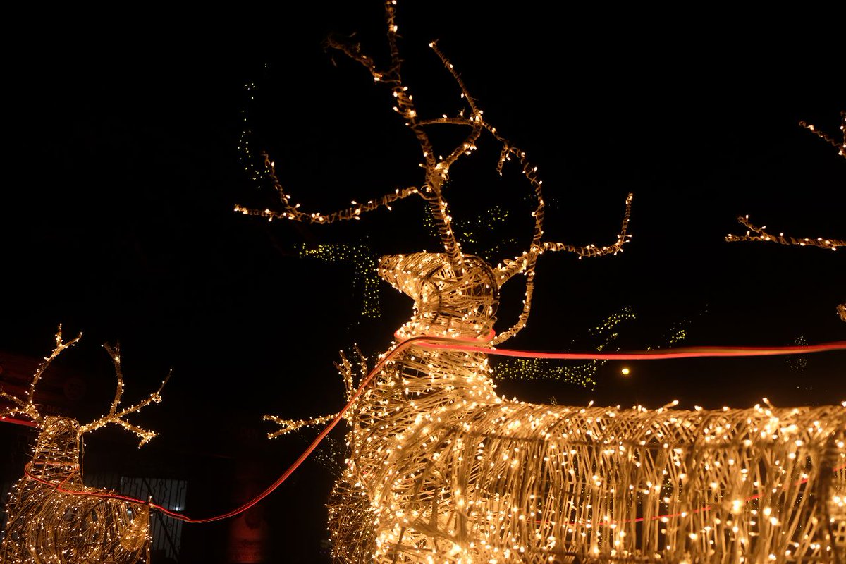 Aparna_kj's tweet photo. 📍Thiruvananthapuram, Kerala

#ChristmasNight #MerryChristmas 
#ChristmasEve #Xmas #December #ChristmasLights #XmasParty https://t.co/gL226oLzw6