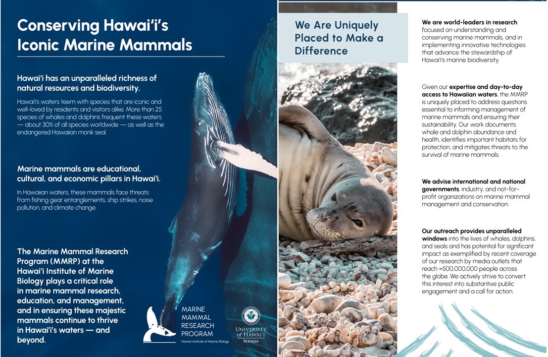 MMRP Uni of Hawaii (@mmrp_uh) on Twitter photo It’s the final day of the #MMRPChristmasCountdown. We hope you’ve enjoyed reading about all the amazing work being done for marine mammals in and around the Hawaiian archipelago by dedicated friends and colleagues at <a href="/PacificWhale/">Pacific Whale Foundation</a> <a href="/CascadiaRes/">Cascadia Research Collective</a> <a href="/CREEM_cake/">CREEM_cake</a> <a href="/NOAAFisheries/">NOAA Fisheries</a> et al. 1 It’s the final day of the #MMRPChristmasCountdown. We hope you’ve enjoyed reading about all the amazing work being done for marine mammals in and around the Hawaiian archipelago by dedicated friends and colleagues at <a href="/PacificWhale/">Pacific Whale Foundation</a> <a href="/CascadiaRes/">Cascadia Research Collective</a> <a href="/CREEM_cake/">CREEM_cake</a> <a href="/NOAAFisheries/">NOAA Fisheries</a> et al. 1