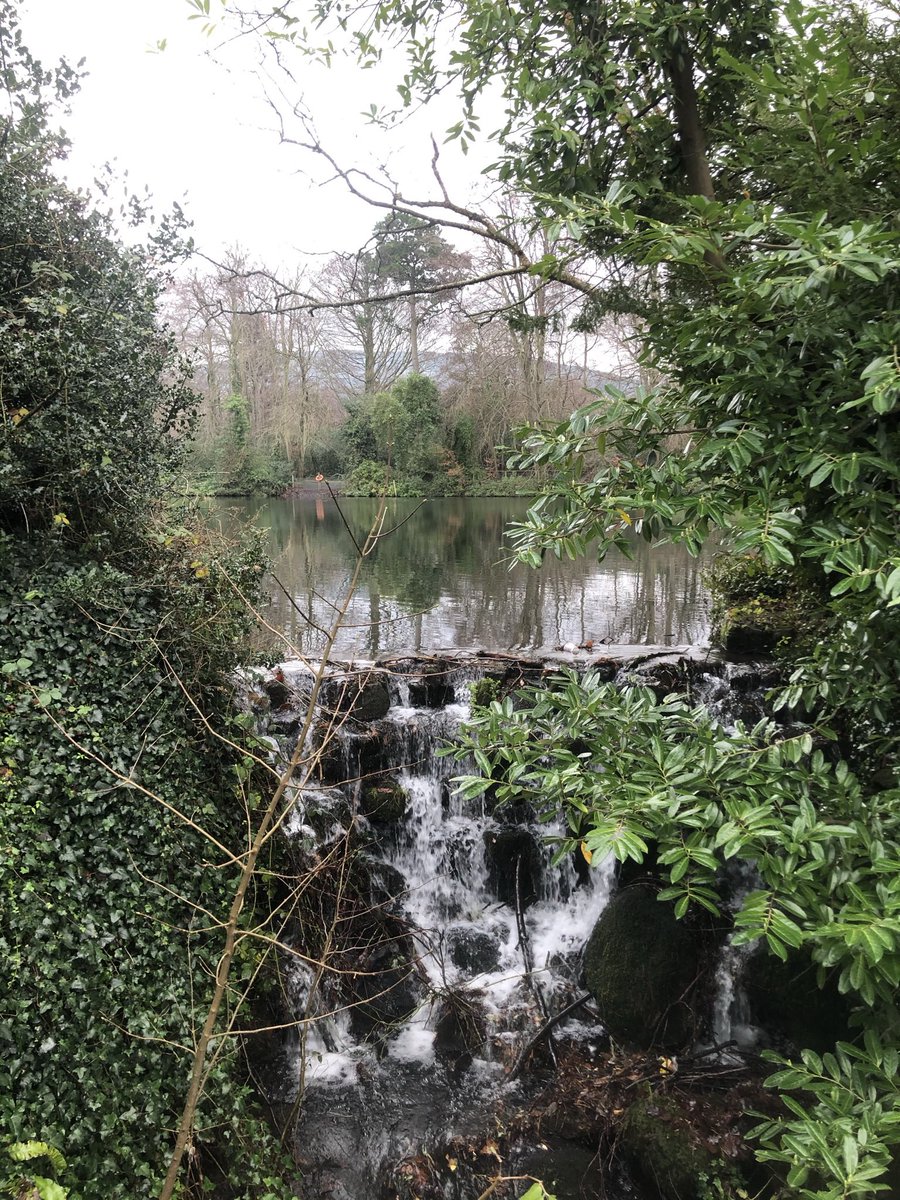 Dublin's Historic South tweet media