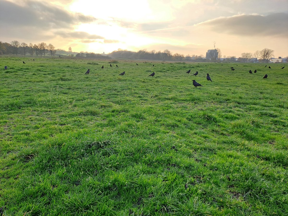 Lizzie Fort (she/her) tweet media