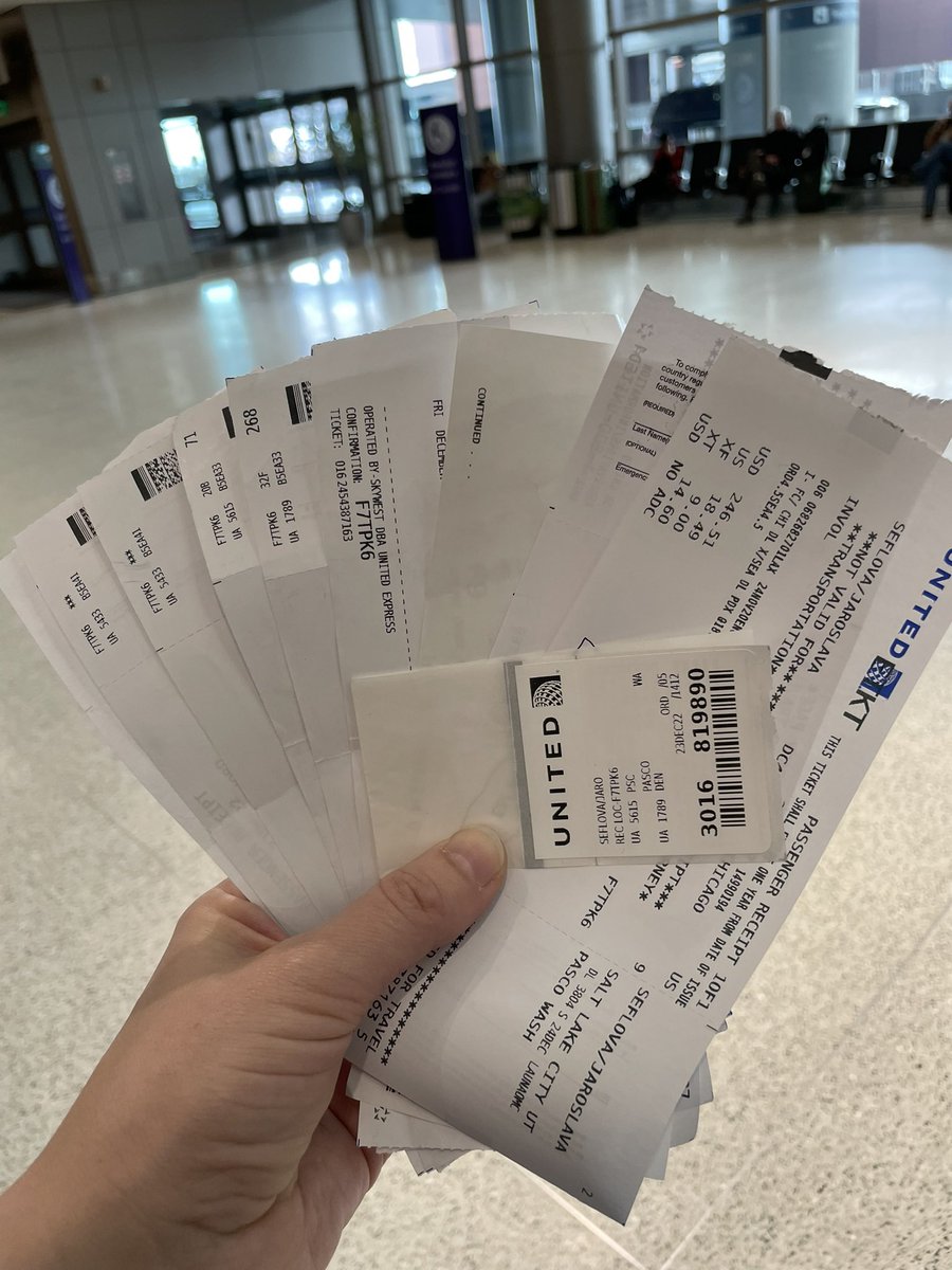 Jaroslava Seflova tweet media