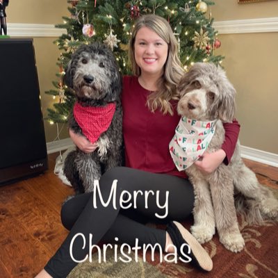 Katie tweet media