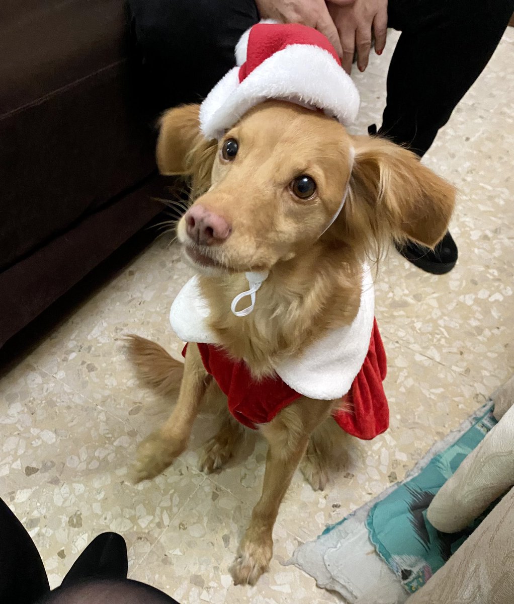 #MerryChristmas 🥳