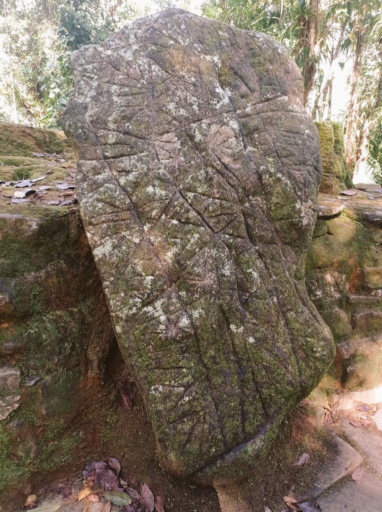 ClaraSantamari4's tweet photo. Just got back from Ciudad Perdida (Colombia) where they found this pre-Columbian map. Archeologists think the vertical lines are rivers and the radial lines are paths connecting a system of cities in the Sierra Nevada de Santa Marta. https://t.co/StzM3pTyfw