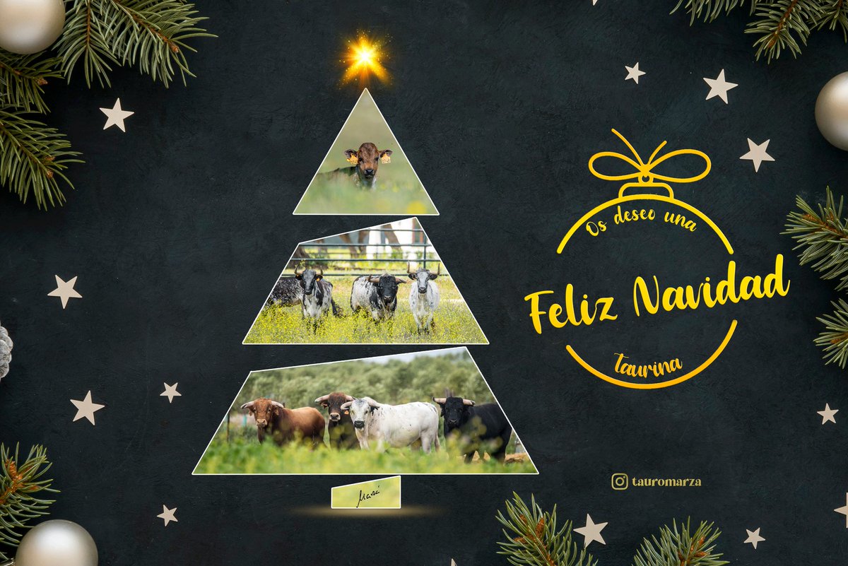 Feliz Navidad a todos