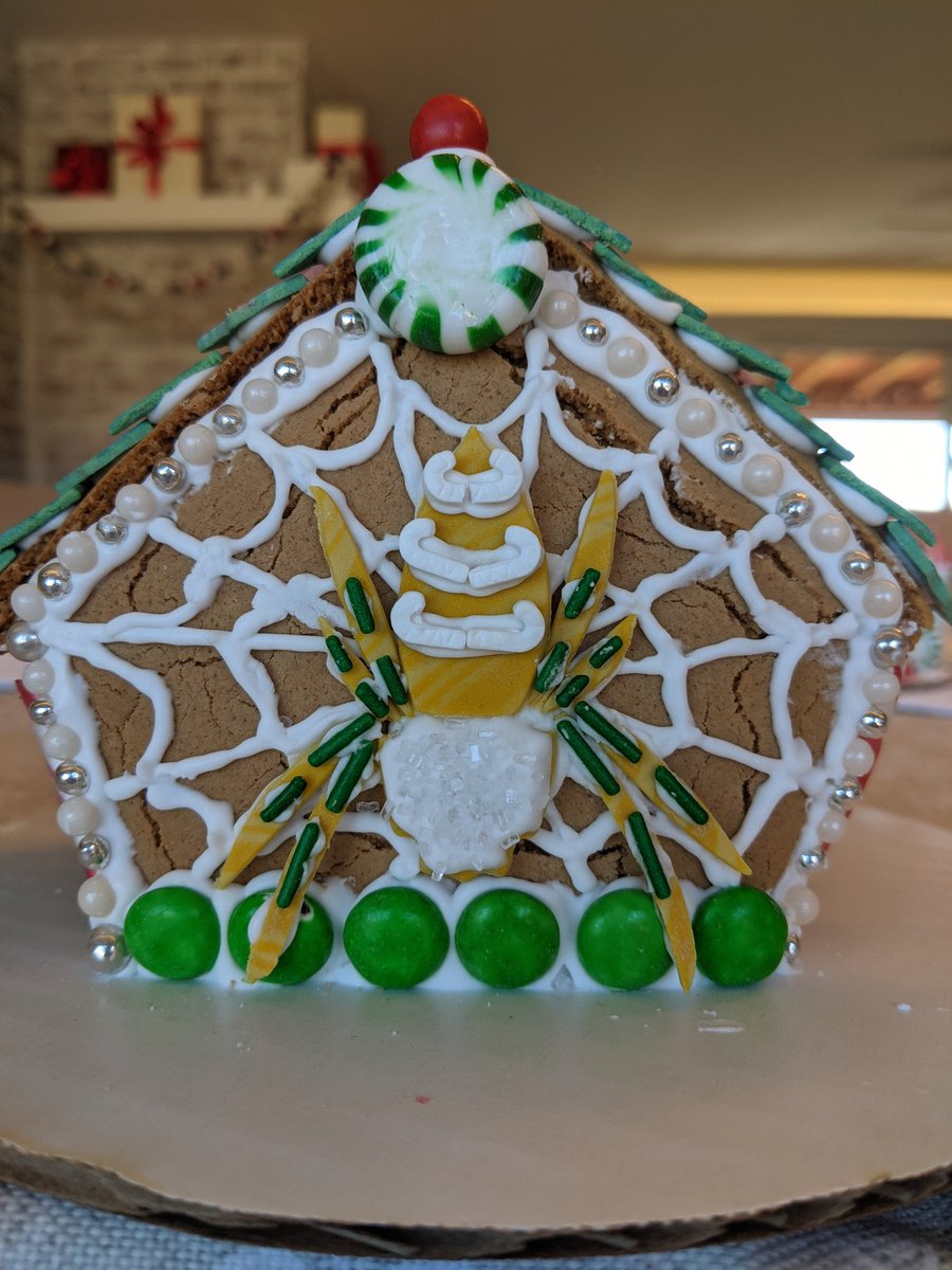 At least one Joro escaped the cold snap!