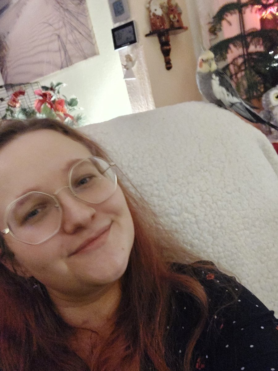 Habe ein Fashionmodel neben mir sitzen. Sagt hallo zu meinem Lieblingsvogel Nico, er wollte mich heute erst zweimal beißen - good day.